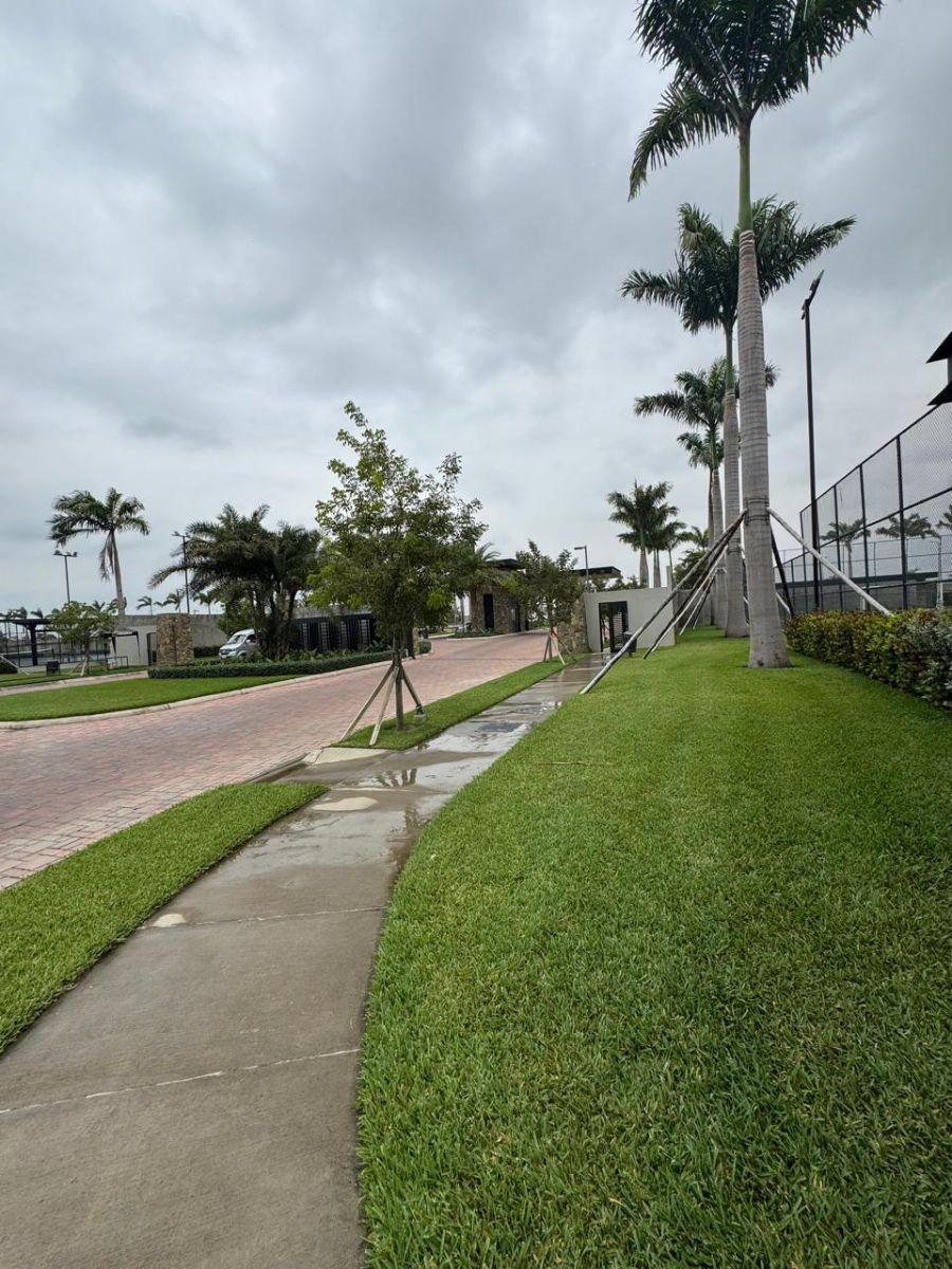 Terrenos en Punta Barranca 354 m y 360 m Us $535 L Mt, Guayas — imagen 7