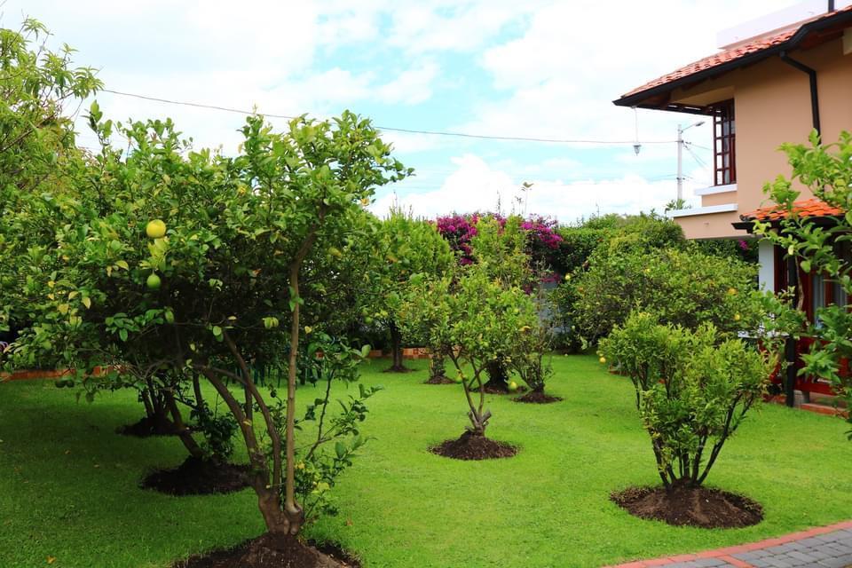 Cumbaya - Sector El Limonar — imagen 8