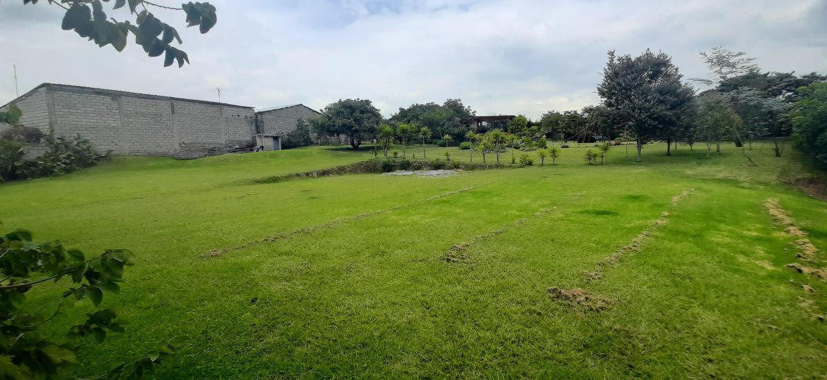 Terreno Venta Tumbaco con Casa Estilo Rustico Sector Residencial — imagen 9