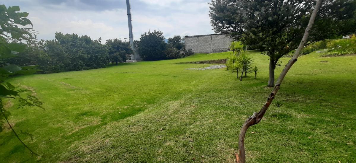 Terreno Venta Tumbaco con Casa Estilo Rustico Sector Residencial — imagen 8