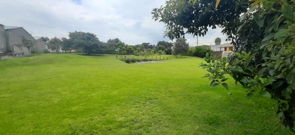 Terreno Venta Tumbaco con Casa Estilo Rustico Sector Residencial — imagen 6