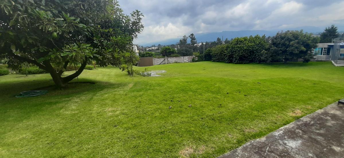 Terreno Venta Tumbaco con Casa Estilo Rustico Sector Residencial — imagen 5