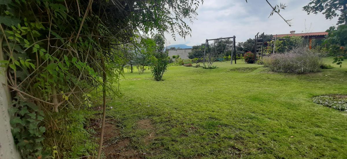 Terreno Venta Tumbaco con Casa Estilo Rustico Sector Residencial — imagen 4