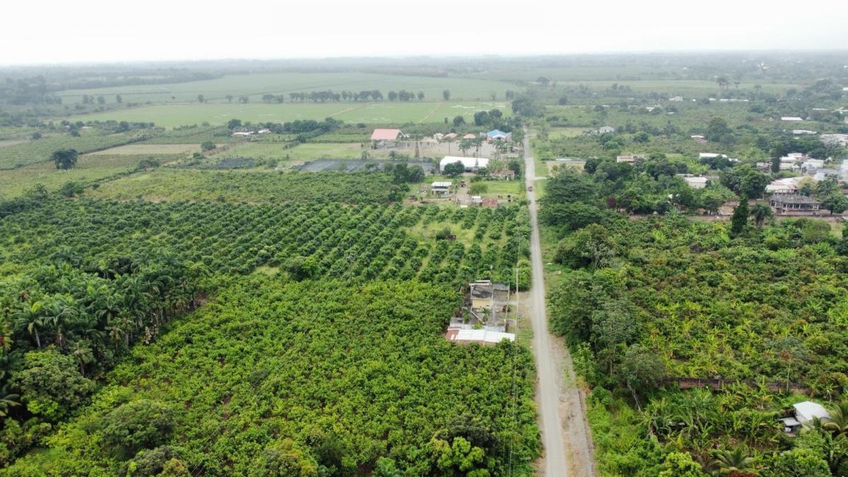 Terreno en Venta en Milagro Elimo, Guayas — imagen 10