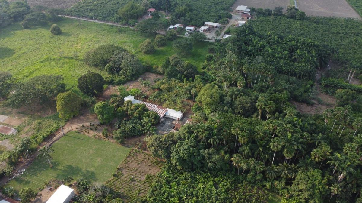 Terreno en Venta en Milagro Elimo, Guayas — imagen 6