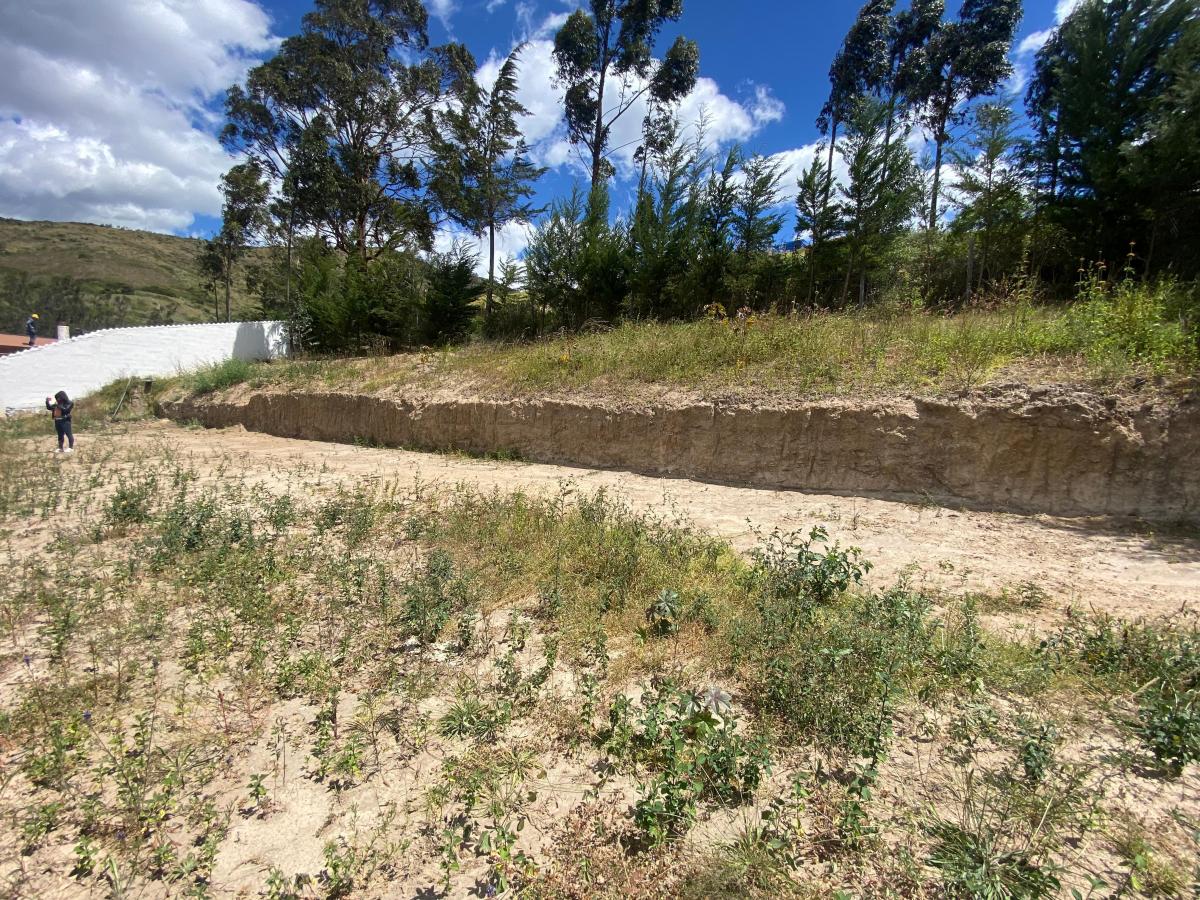 Urbanización de Lujo! La Cerámica - Tumbaco Cumbaya — imagen 9
