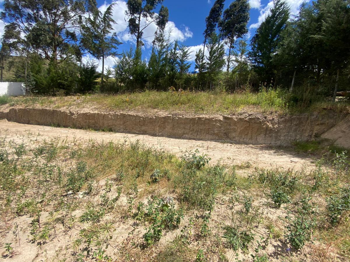 Urbanización de Lujo! La Cerámica - Tumbaco Cumbaya — imagen 7