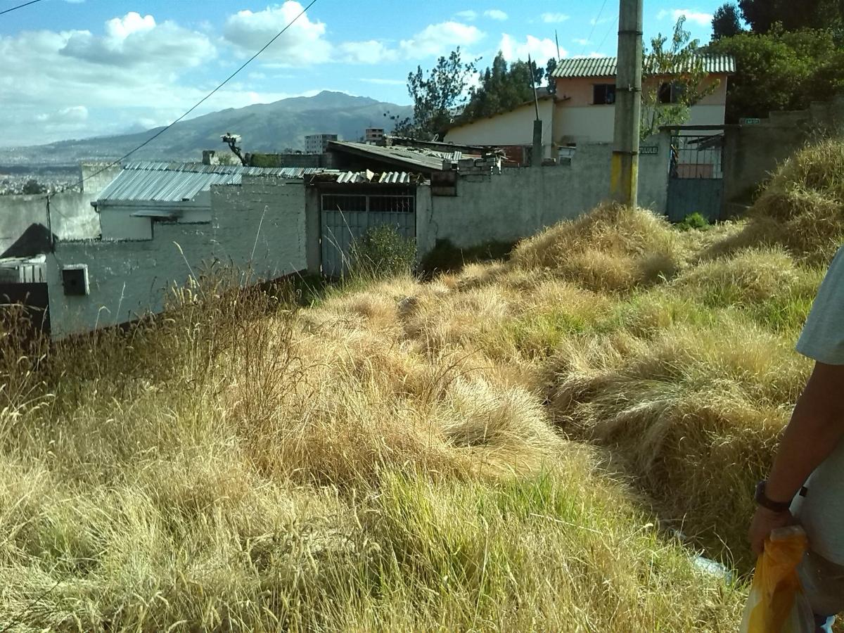 Innovocasa Vende Terreno La Magdalena Alta, Sur de Quito — imagen 8