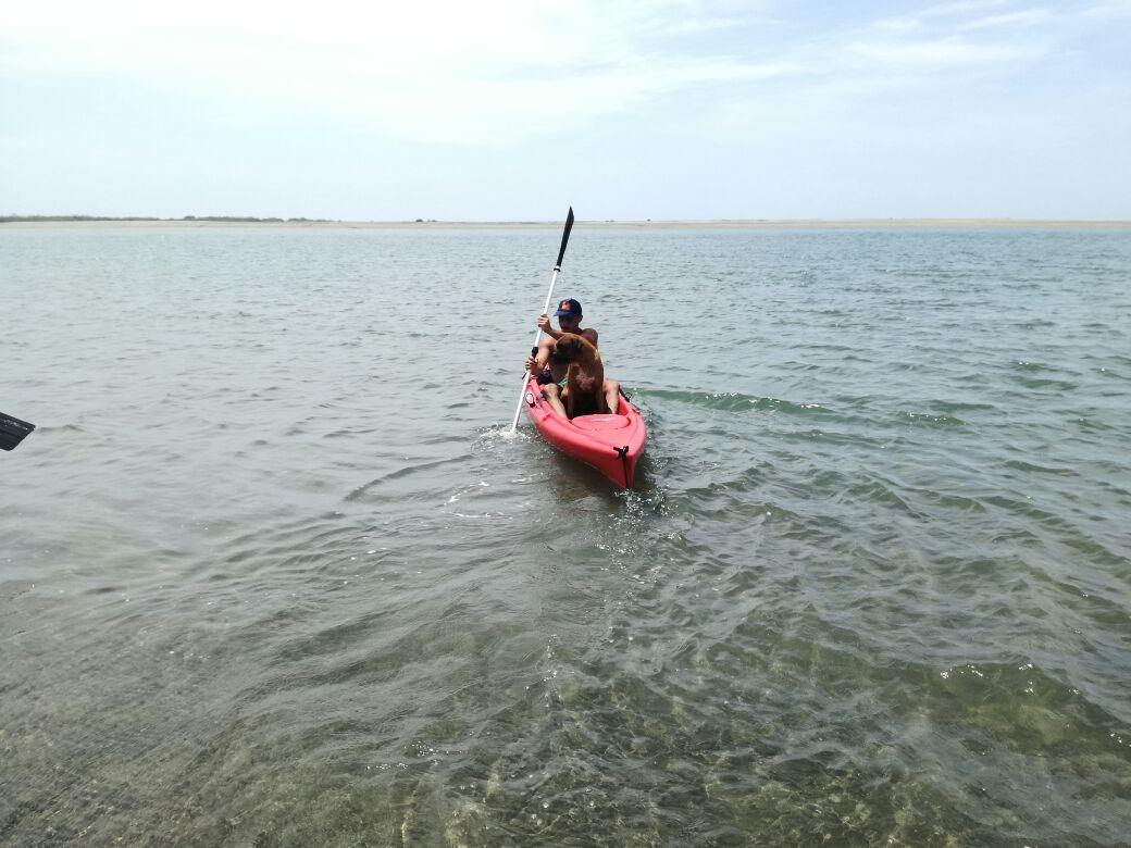Isla de Portete Paradisíaco Terrenos Desde 2.500 m². Exclusivo, Tranquilidad — imagen 4