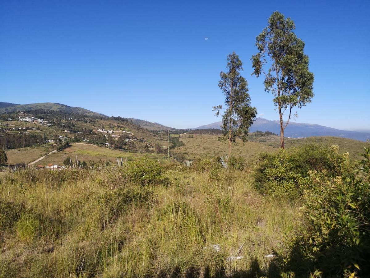 Vendo - Terreno - Tumbaco Sector La Cantarilla — imagen 10