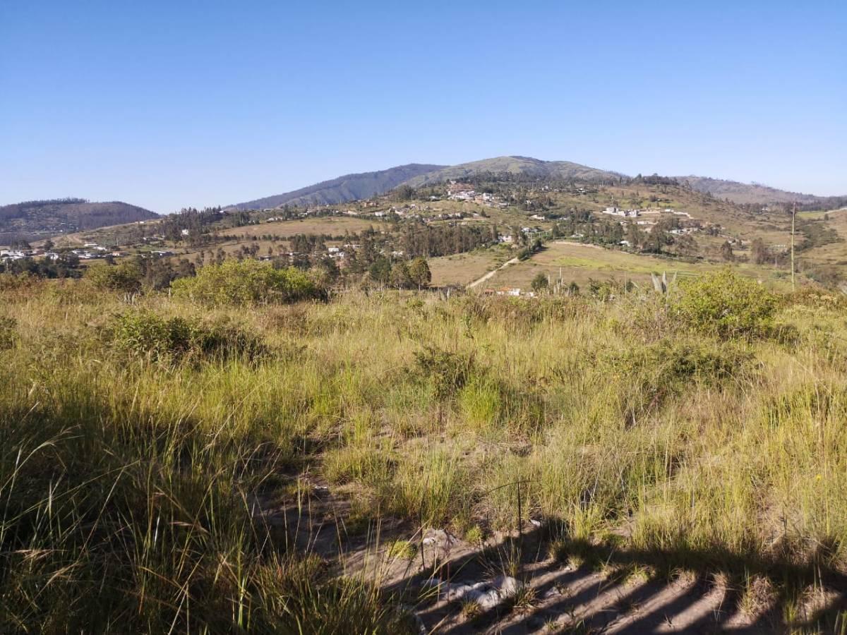 Vendo - Terreno - Tumbaco Sector La Cantarilla — imagen 8