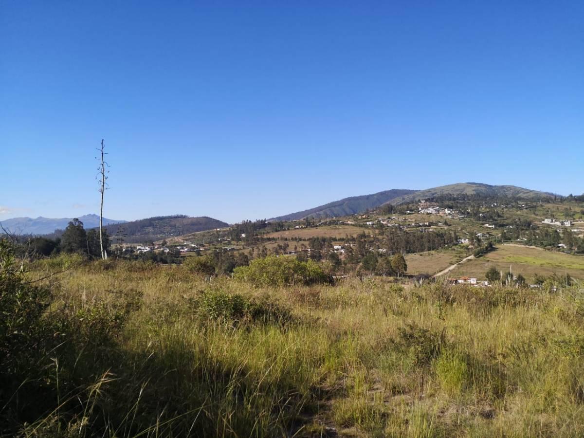 Vendo - Terreno - Tumbaco Sector La Cantarilla — imagen 7