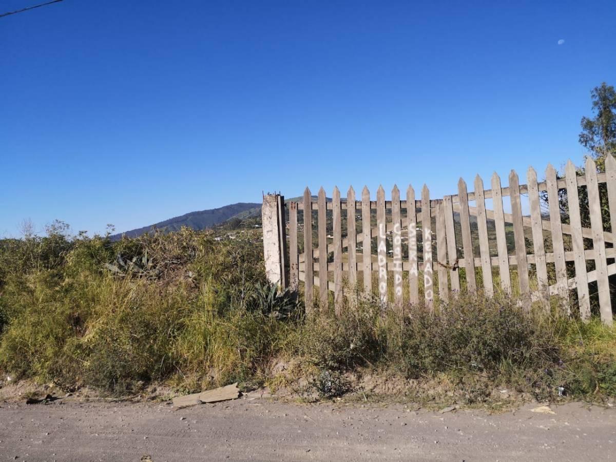 Vendo - Terreno - Tumbaco Sector La Cantarilla — imagen 6