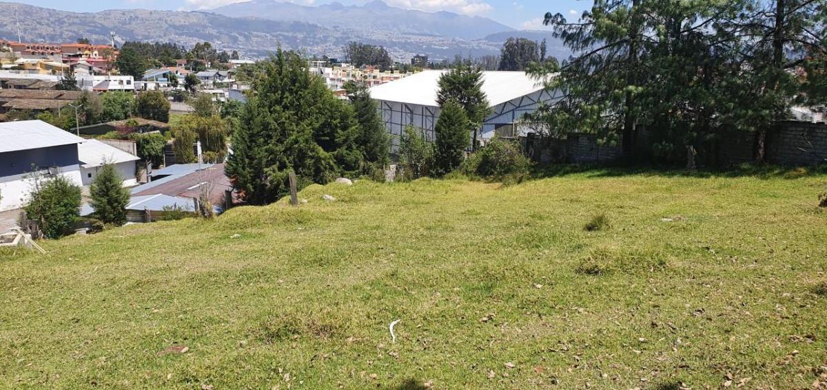 Se Vende Terreno en El Valle de Los Chillos — imagen 9