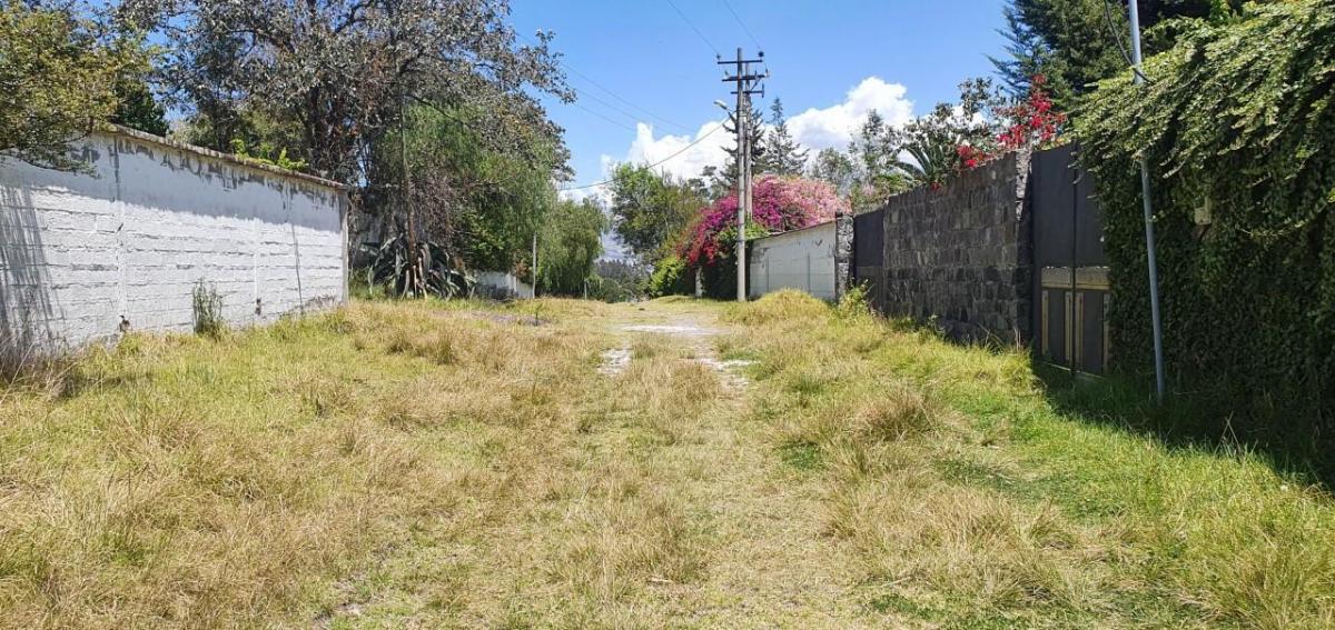 Se Vende Terreno en El Valle de Los Chillos — imagen 5