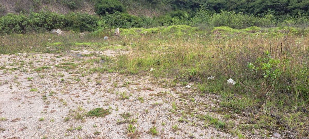 Venta Terreno Industrial Alto Impacto I3, Norte de Quito — imagen 3