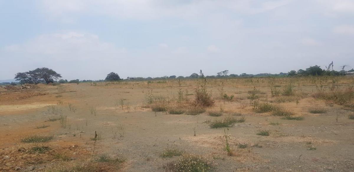 En Venta Terreno en Vía T Daule - Salitre - Mae. Recalde, Guayas — imagen 8