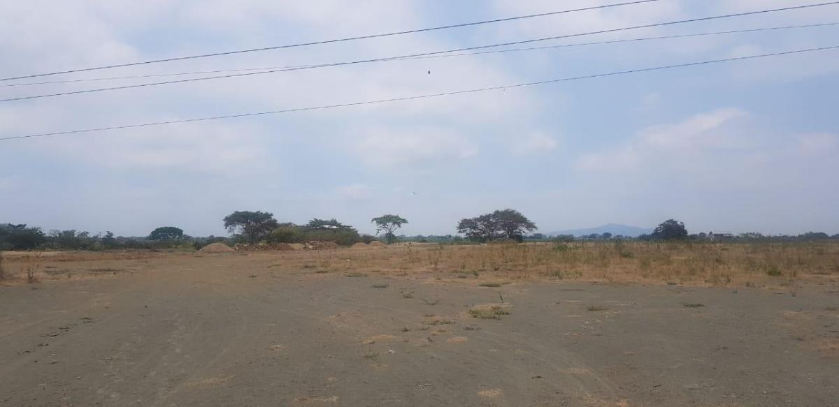 En Venta Terreno en Vía T Daule - Salitre - Mae. Recalde, Guayas — imagen 7