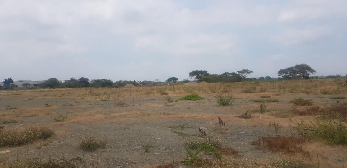 En Venta Terreno en Vía T Daule - Salitre - Mae. Recalde, Guayas — imagen 4