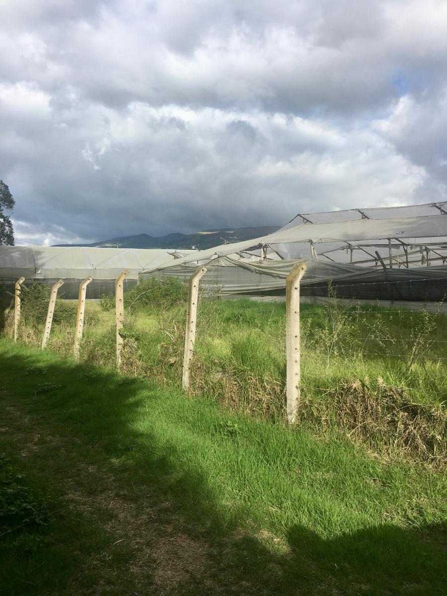 Espectacular Terreno Sector Tababela Venta — imagen 10
