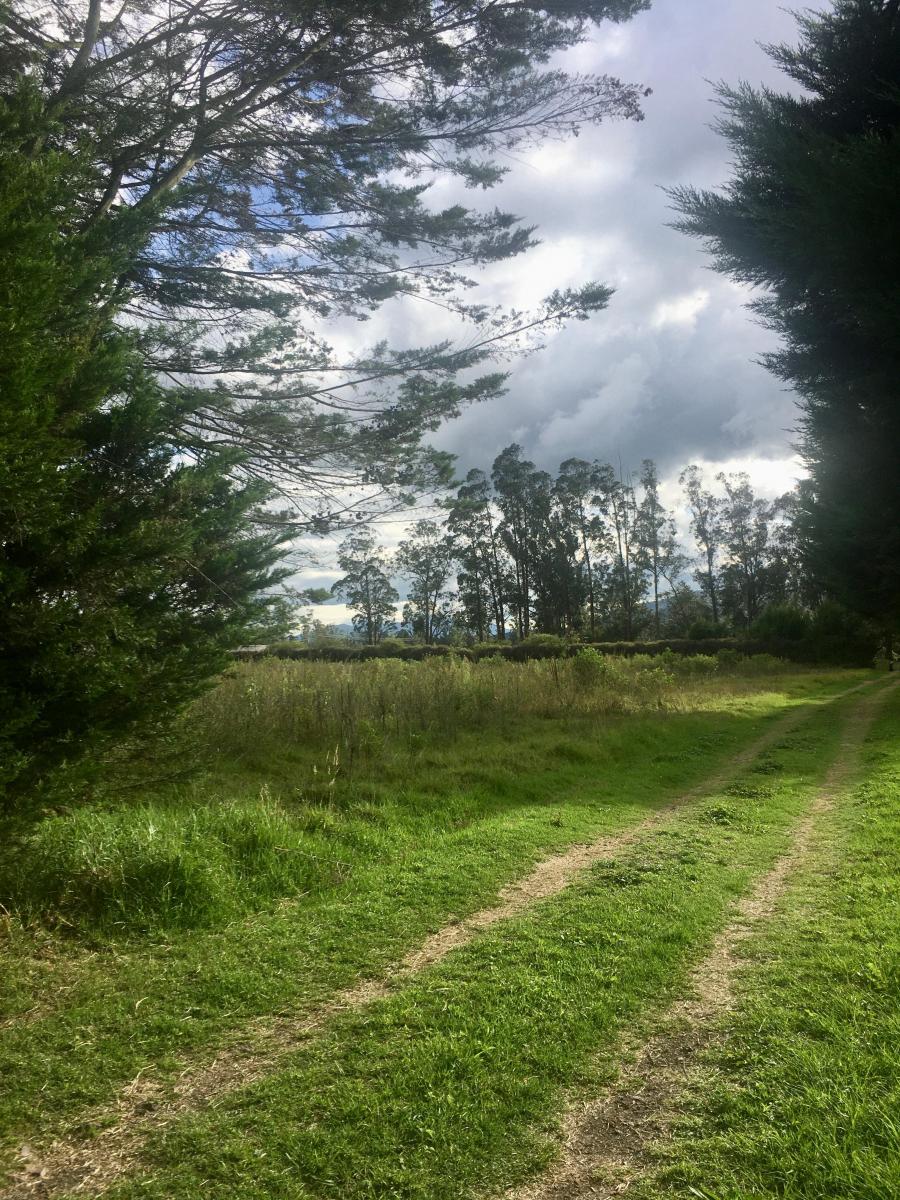 Espectacular Terreno Sector Tababela Venta — imagen 8