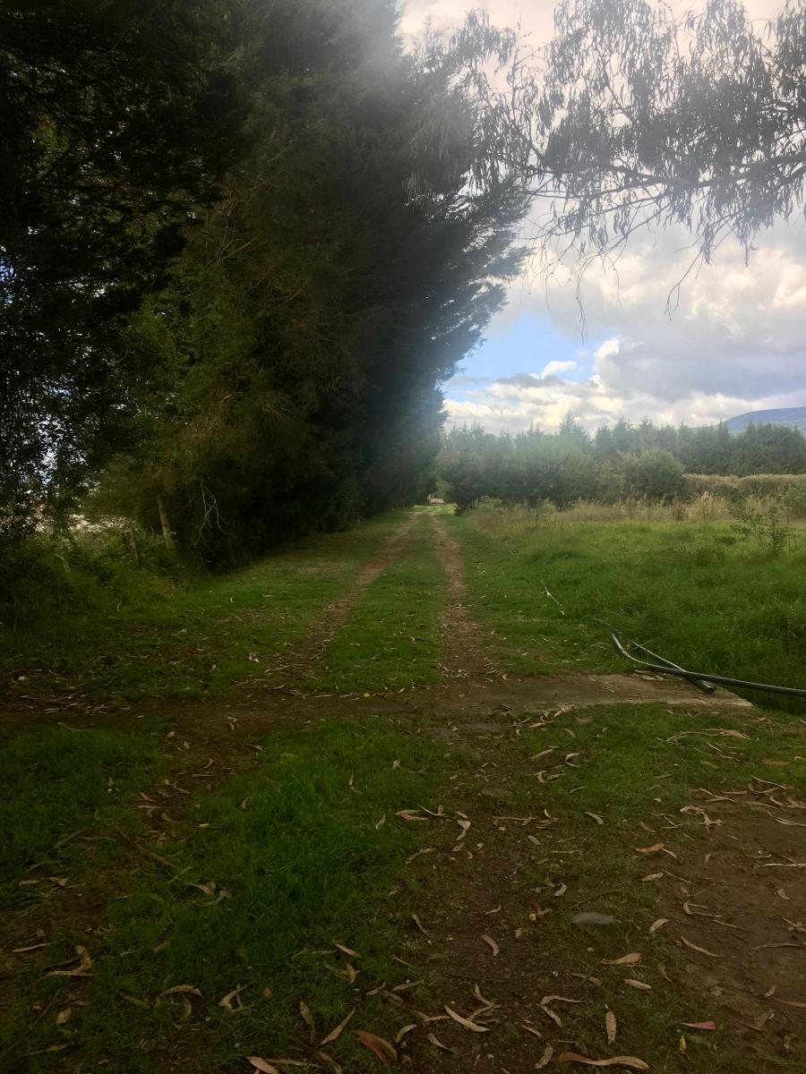 Espectacular Terreno Sector Tababela Venta — imagen 5