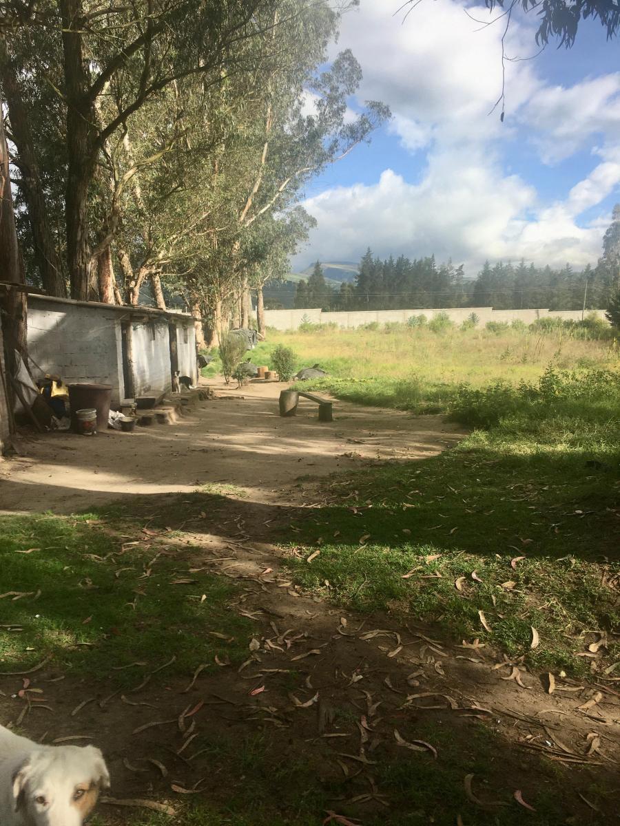 Espectacular Terreno Sector Tababela Venta — imagen 3