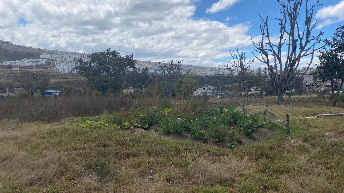 Pomasqui Sector Comercial 16.700 m² de Venta — imagen 9