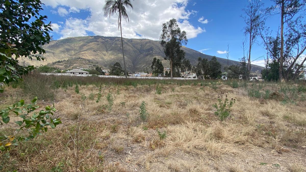 Pomasqui Sector Comercial 16.700 m² de Venta — imagen 7