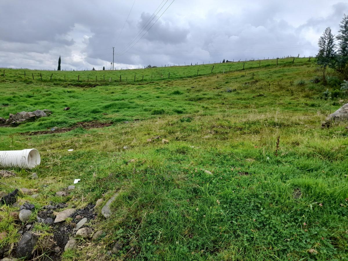 Terreno en Venta (San José de San Joaquín), Azuay — imagen 9