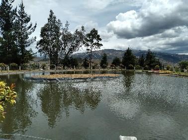 Vendo Tabacundo Terreno 800 m² Plano Urb. Cerrada — imagen 9