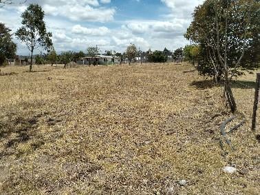 Vendo Tabacundo Terreno 800 m² Plano Urb. Cerrada — imagen 8