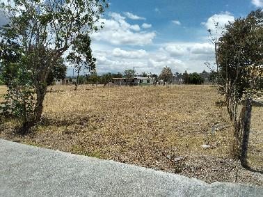 Vendo Tabacundo Terreno 800 m² Plano Urb. Cerrada — imagen 6