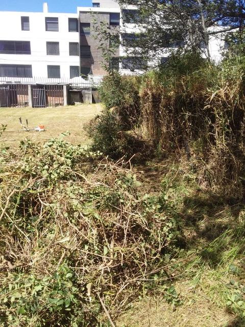 Vendo Precioso Terreno Quito Tenis 4.000 m² Terreno $5´000.000 — imagen 10
