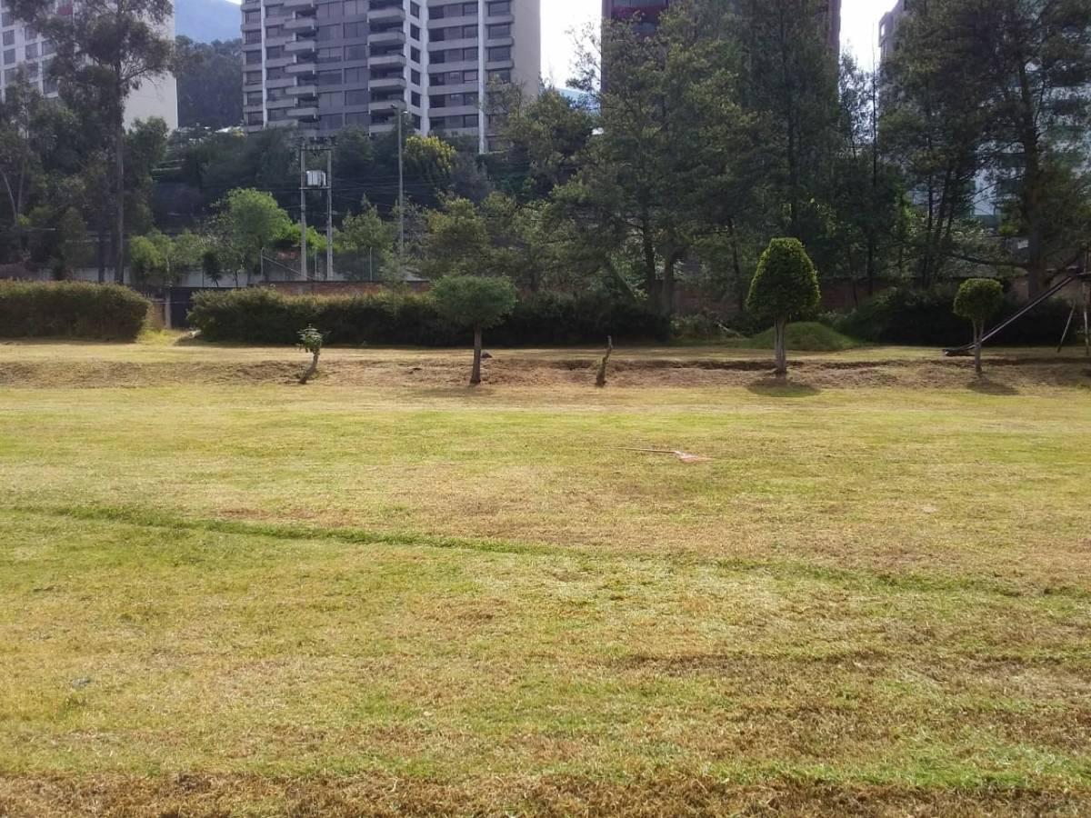 Vendo Precioso Terreno Quito Tenis 4.000 m² Terreno $5´000.000 — imagen 3