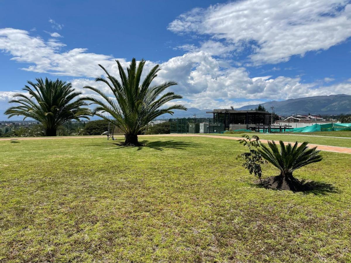 Terreno (S) de Venta, Tumbaco, Sector La Cerámica, 1100 m² — imagen 3