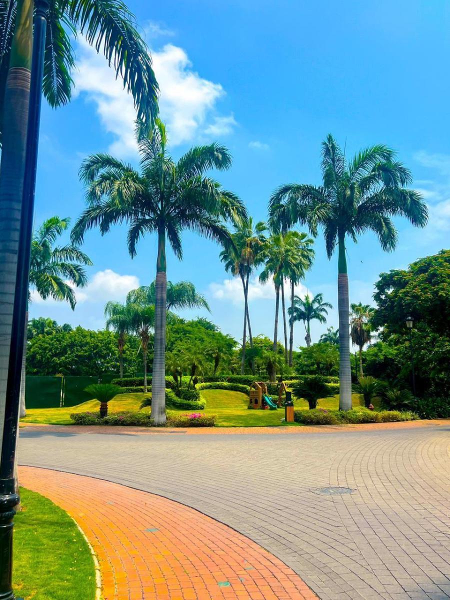 Sotonovo - Pronobis, Guayas — imagen 8