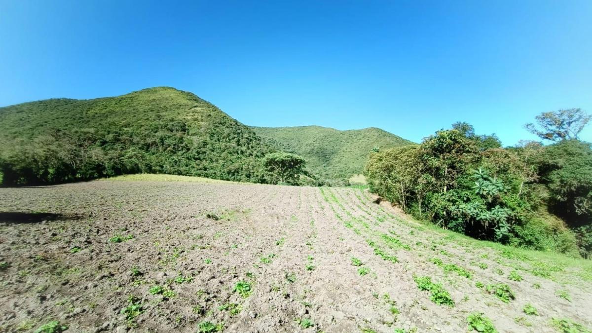 Re/max Futuro Vende Hermoso Terreno de 4,3 Has en Nono — imagen 9