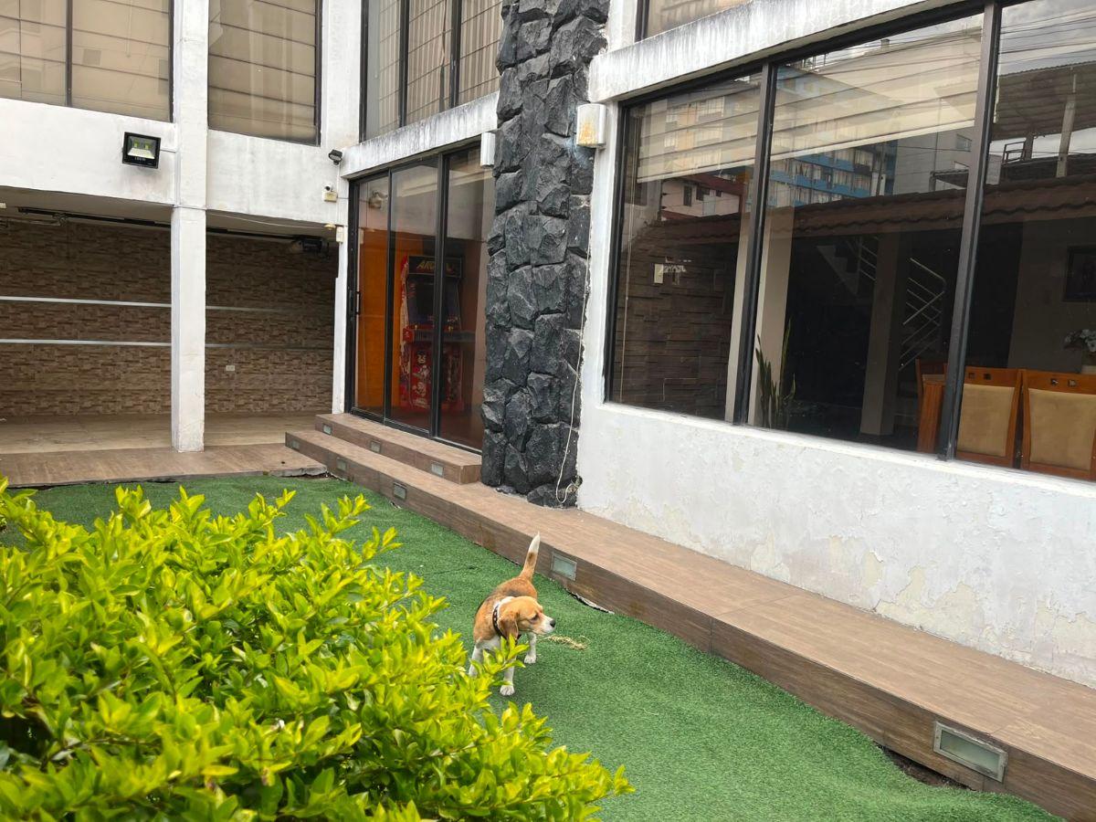 Se Vende Casa en Sector Comercial y Residencial — imagen 10