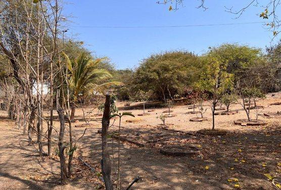 Terreno en Venta, General Villamil, Playas, Guayas - C. Garcia, Guayas — imagen 8