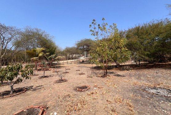 Terreno en Venta, General Villamil, Playas, Guayas - C. Garcia, Guayas — imagen 6