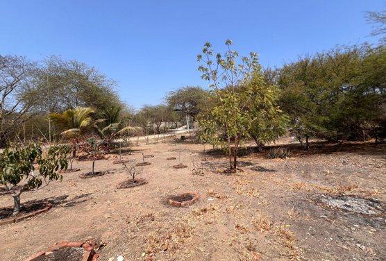 Terreno en Venta, General Villamil, Playas, Guayas - C. Garcia, Guayas — imagen 5