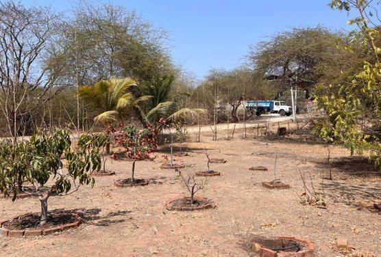 Terreno en Venta, General Villamil, Playas, Guayas - C. Garcia, Guayas — imagen 4