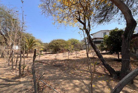 Terreno en Venta, General Villamil, Playas, Guayas - C. Garcia, Guayas — imagen 3