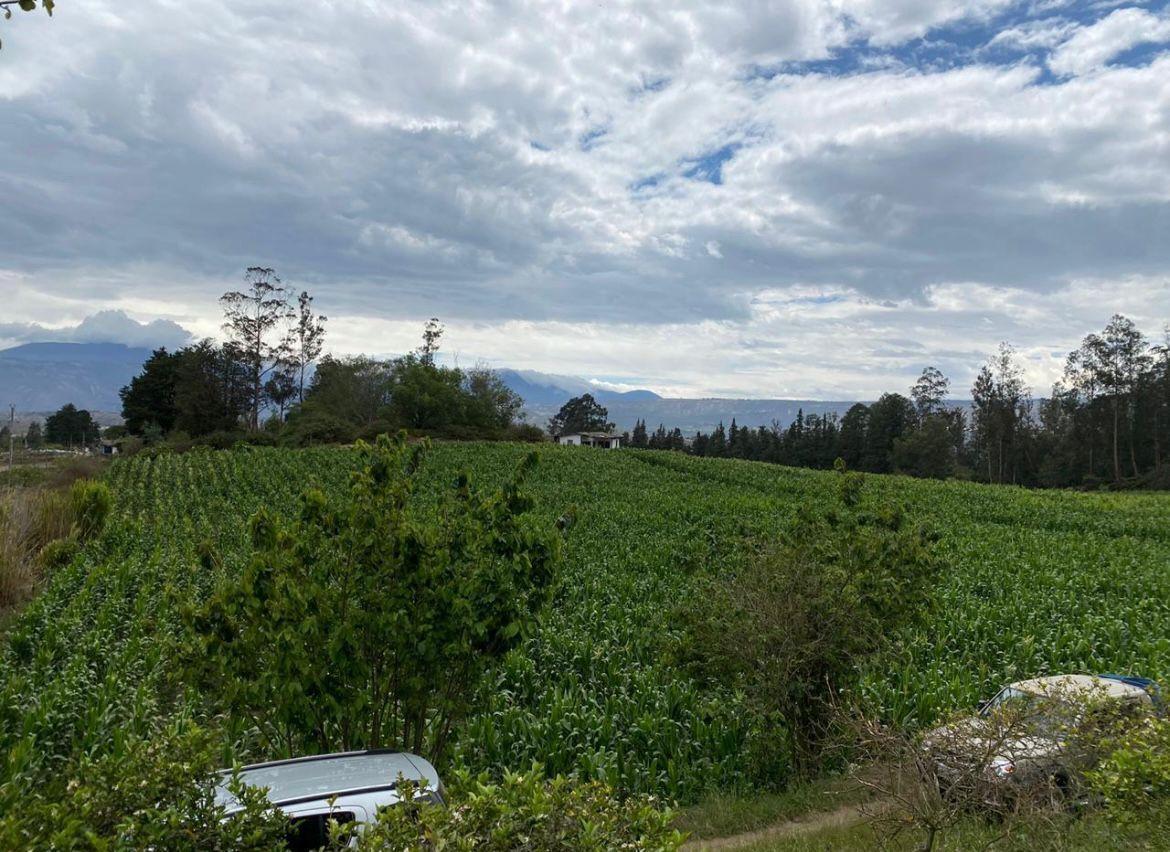 Terreno de Venta Ubicado en Guayllabamba, Árboles Frutales — imagen 3