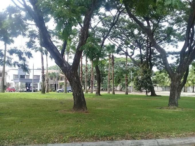 Este Terreno en La Urb. Santa Maria de Casa Grande Esta Listo Para La Compra, Guayas — imagen 8