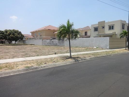 Este Terreno en La Urb. Santa Maria de Casa Grande Esta Listo Para La Compra, Guayas — imagen 5