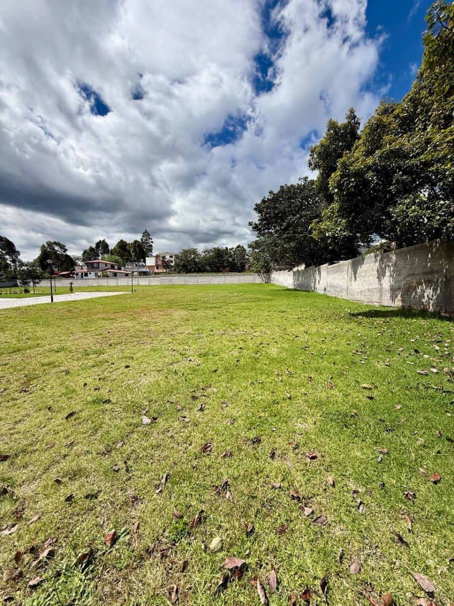 Terreno en Venta - Puembo - 410 m² — imagen 6