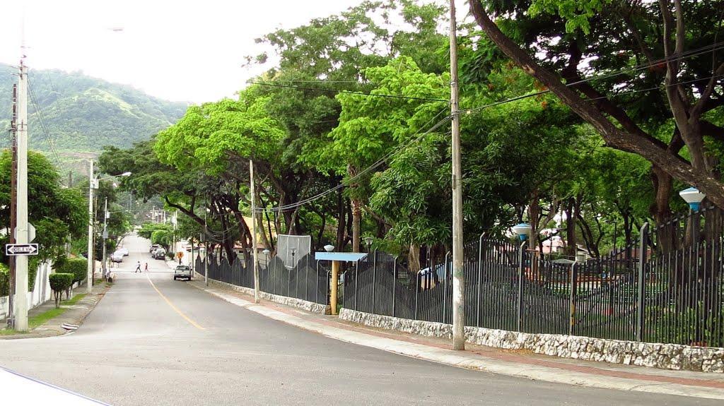 Terreno a La Venta en Los Parques, Guayas — imagen 8