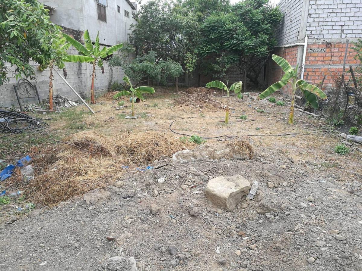 Venta Terreno Playas Villamil, Guayas — imagen 6